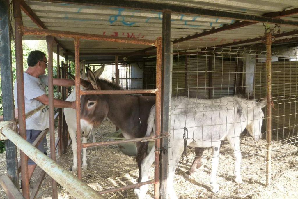 Finca Los Burros Тоталан Экстерьер фото