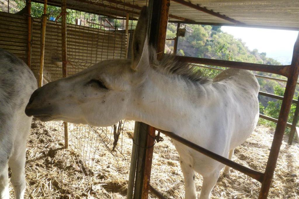 Finca Los Burros Тоталан Экстерьер фото