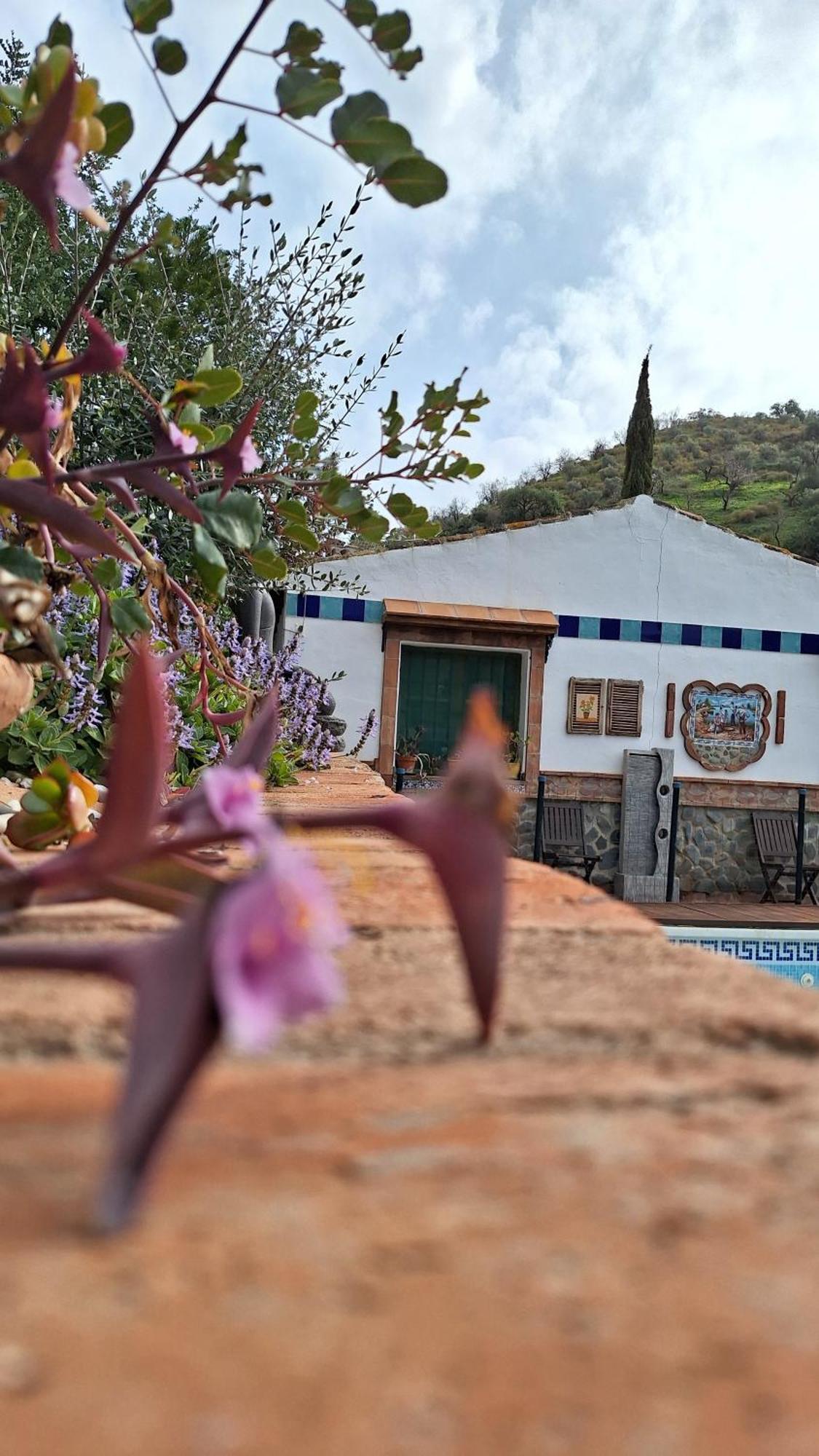 Finca Los Burros Тоталан Экстерьер фото